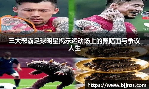 星空综合(中国)官方网站